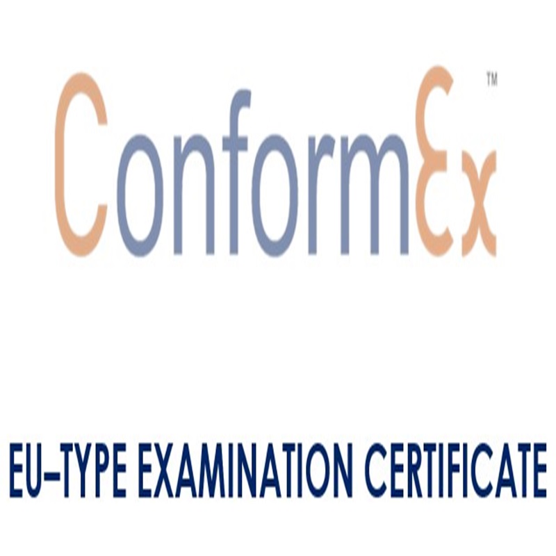 Contenuto dei certificati di esame UE del tipo